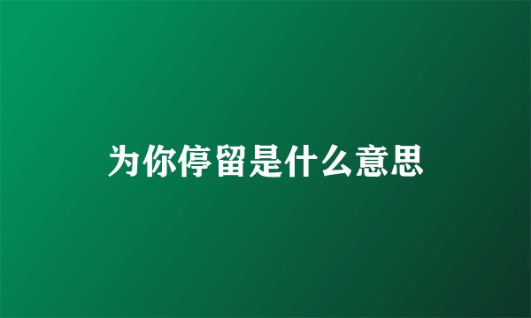 为你停留是什么意思