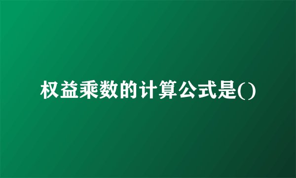 权益乘数的计算公式是()