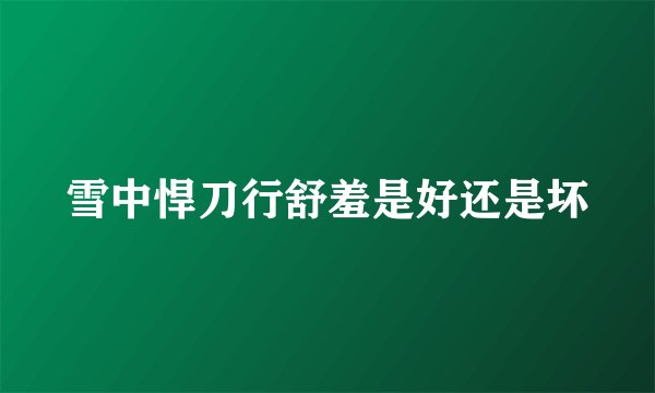 雪中悍刀行舒羞是好还是坏