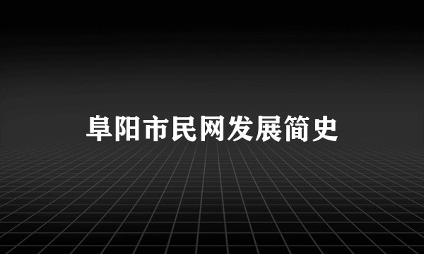 阜阳市民网发展简史