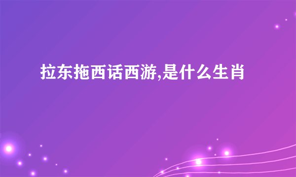 拉东拖西话西游,是什么生肖