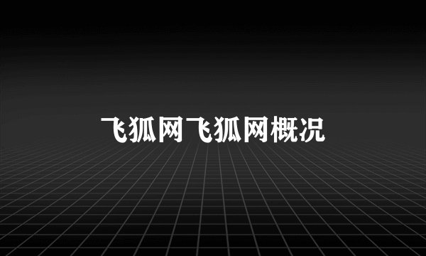 飞狐网飞狐网概况