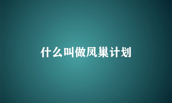 什么叫做凤巢计划