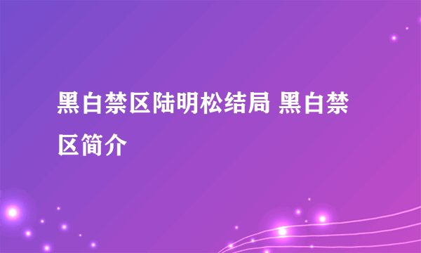 黑白禁区陆明松结局 黑白禁区简介