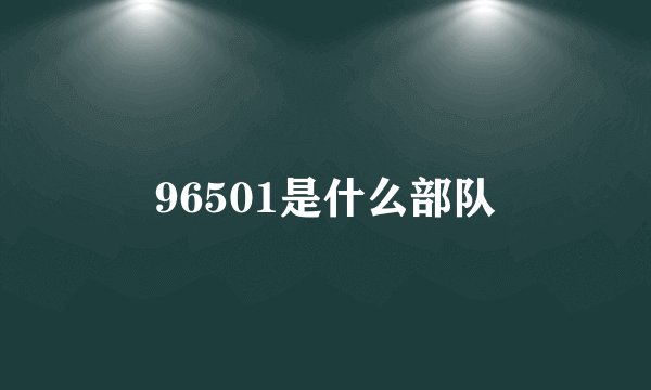 96501是什么部队