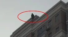 90后姑娘凌晨跳江救回轻生男！男子究竟为何会轻生？