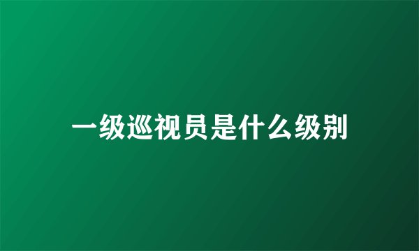 一级巡视员是什么级别
