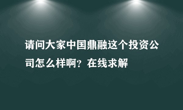 请问大家中国鼎融这个投资公司怎么样啊？在线求解