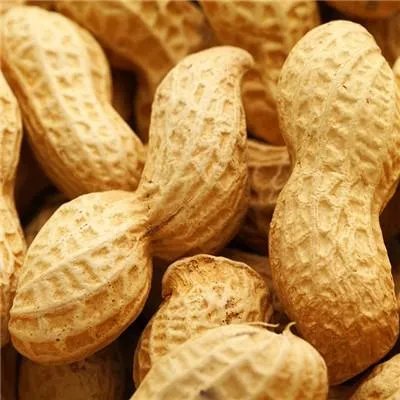 治疗糖尿病的偏方大全