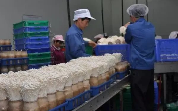 有什么赚钱的好项目?