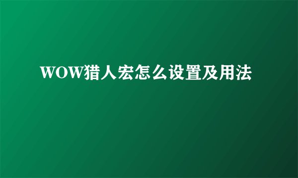 WOW猎人宏怎么设置及用法