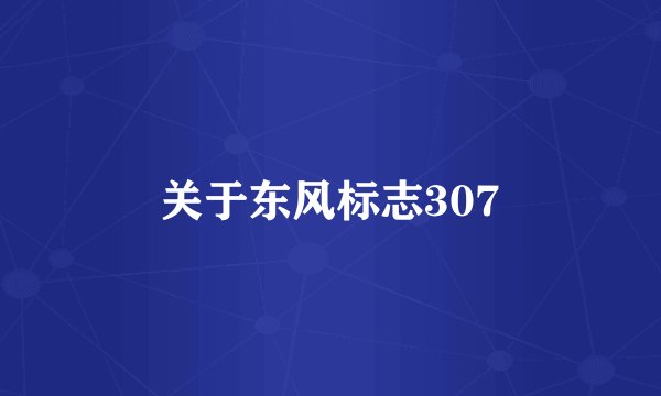 关于东风标志307