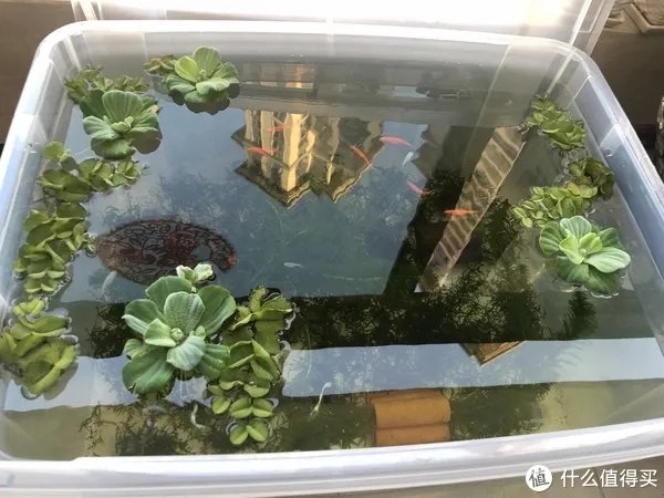 水族用品