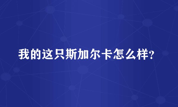 我的这只斯加尔卡怎么样？