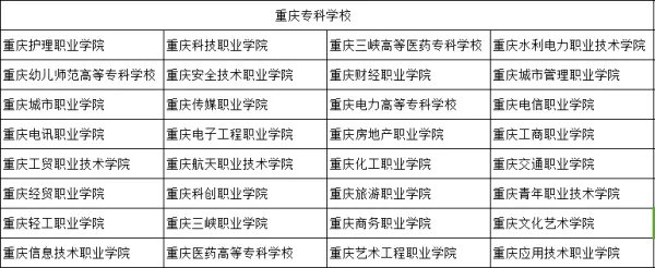 重庆有哪些职业学院