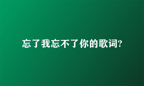忘了我忘不了你的歌词?