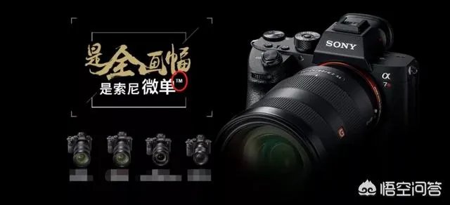 无反，微单，单反有什么区别，如果购买应该买哪种呢？