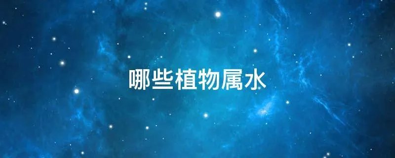 哪些植物属水