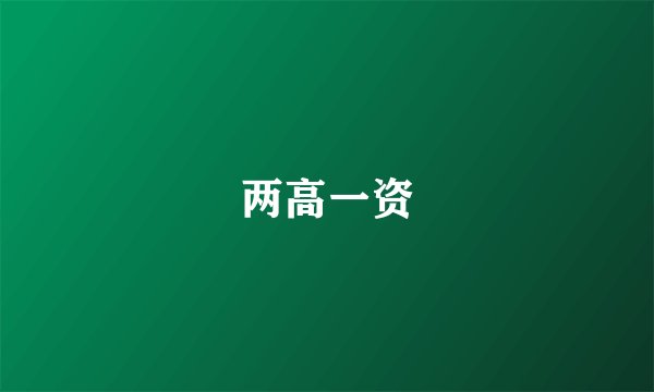两高一资