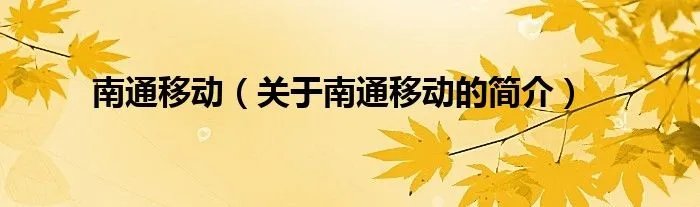 南通移动（关于南通移动的简介）