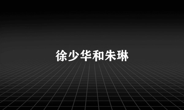 徐少华和朱琳