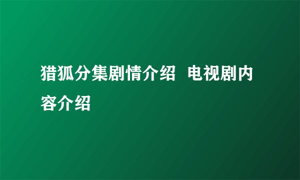 猎狐分集剧情介绍  电视剧内容介绍