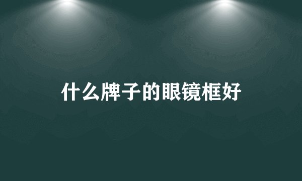 什么牌子的眼镜框好