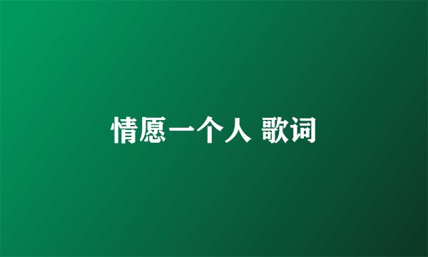 情愿一个人 歌词