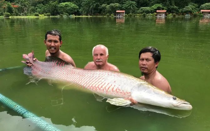 四川铜山湖水怪 到最后居然是这个生物（铜山湖水怪）