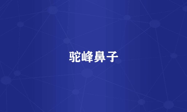 驼峰鼻子