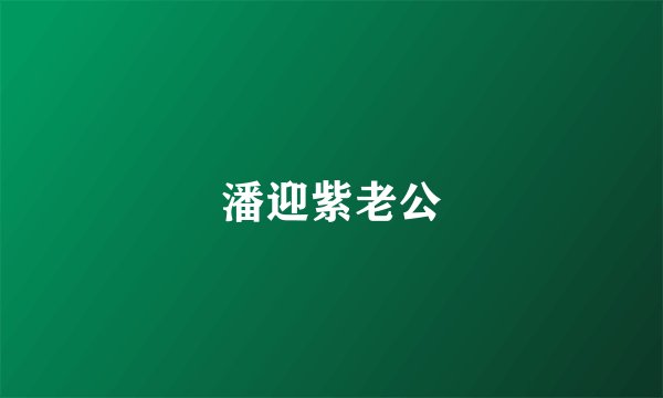 潘迎紫老公