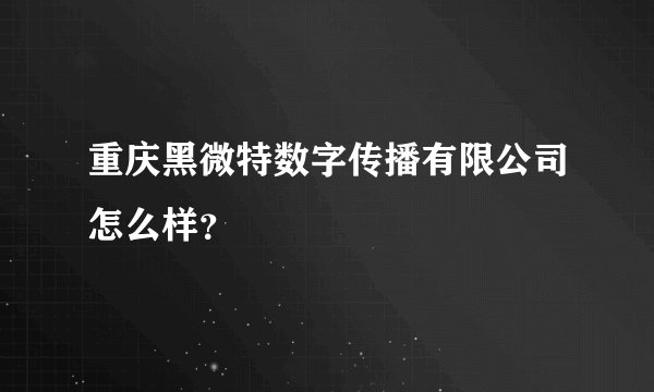 重庆黑微特数字传播有限公司怎么样？