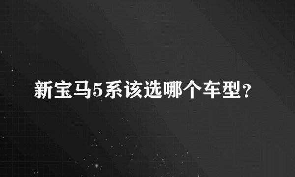 新宝马5系该选哪个车型？
