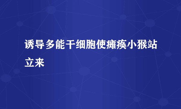 诱导多能干细胞使瘫痪小猴站立来