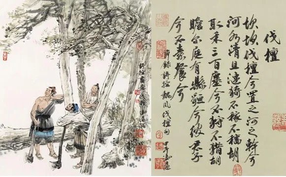 坎坎伐檀兮,置之河之干兮是什么意思？