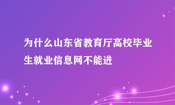 为什么山东省教育厅高校毕业生就业信息网不能进