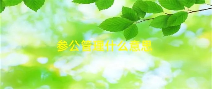 参公管理什么意思