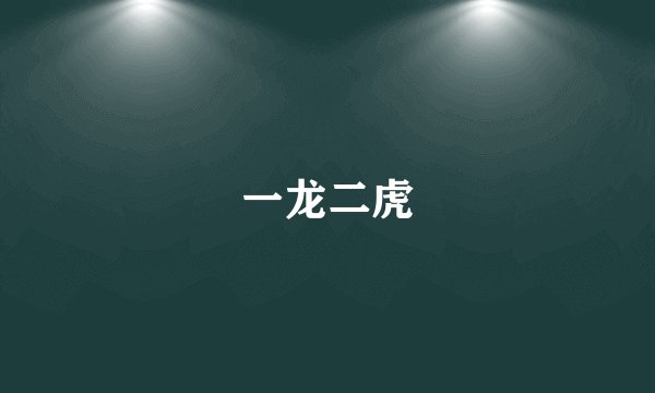 一龙二虎