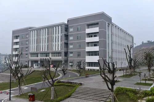重庆有哪些职业学院