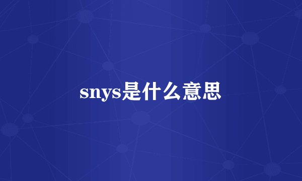 snys是什么意思