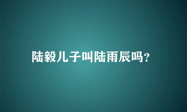 陆毅儿子叫陆雨辰吗?