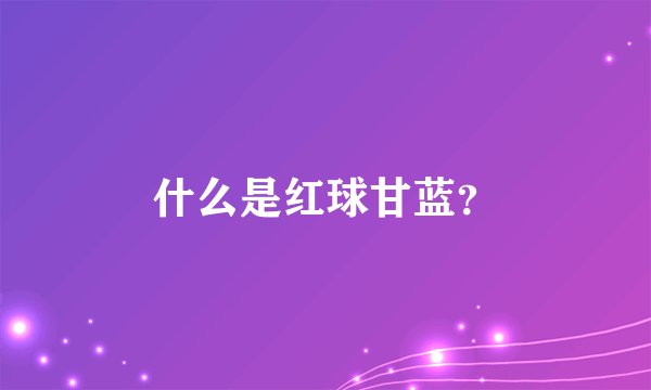 什么是红球甘蓝？