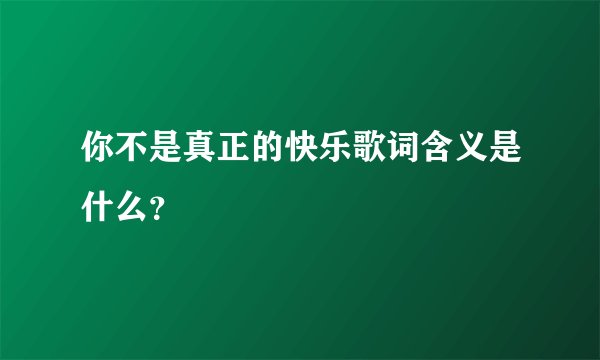 你不是真正的快乐歌词含义是什么？