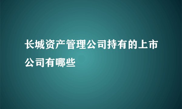 长城资产管理公司持有的上市公司有哪些