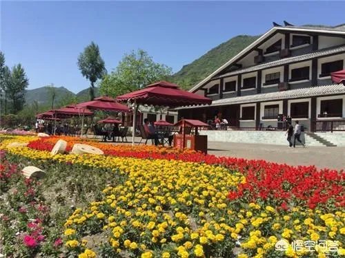 甘肃陇南康县目前有多少个美丽乡村?