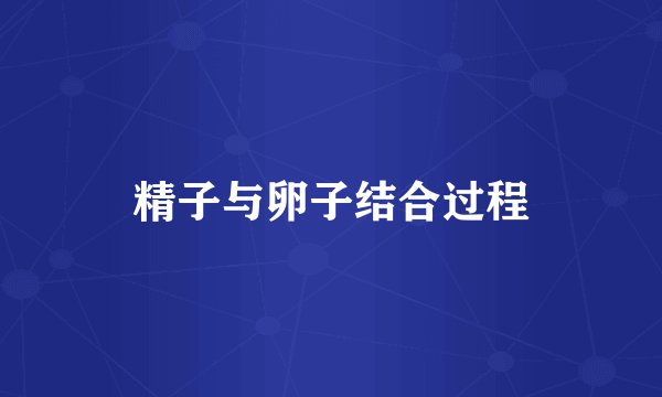 精子与卵子结合过程