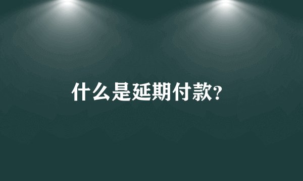 什么是延期付款？