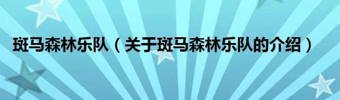 斑马森林乐队（关于斑马森林乐队的介绍）