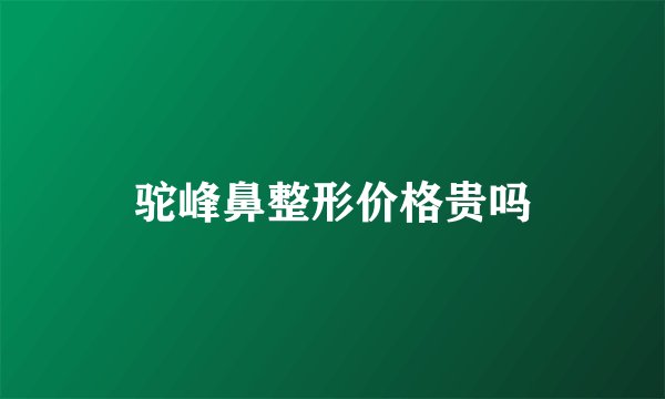 驼峰鼻整形价格贵吗