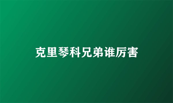 克里琴科兄弟谁厉害